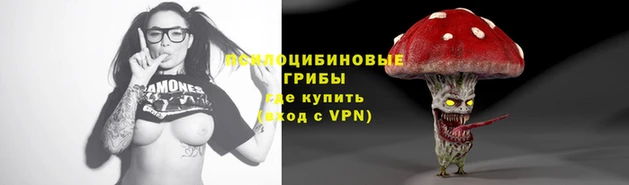герыч Арсеньев