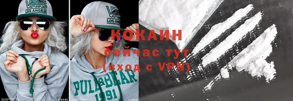 крисы Армянск