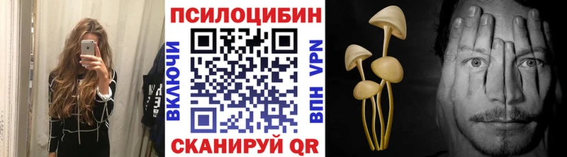 OMG ТОР shop наркотические препараты Галлюциногенные грибы Magic Shrooms где можно купить Омск