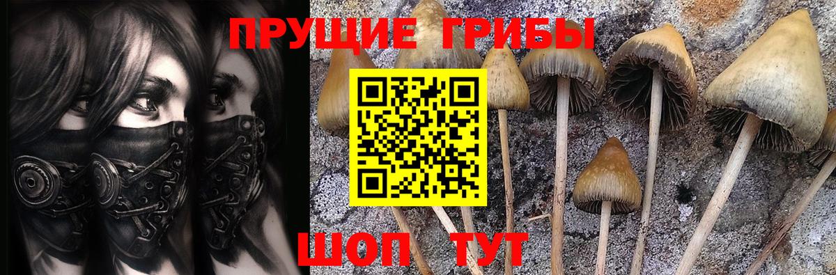 Псилоцибиновые грибы ЛСД  Вход с VPN  Омск 